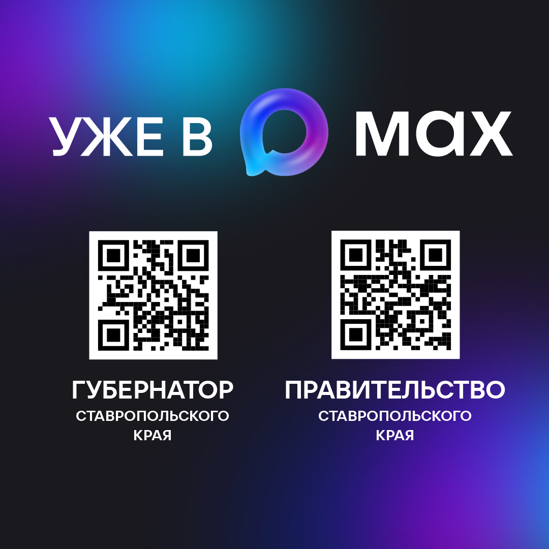 МАХ – современный инструмент для общения